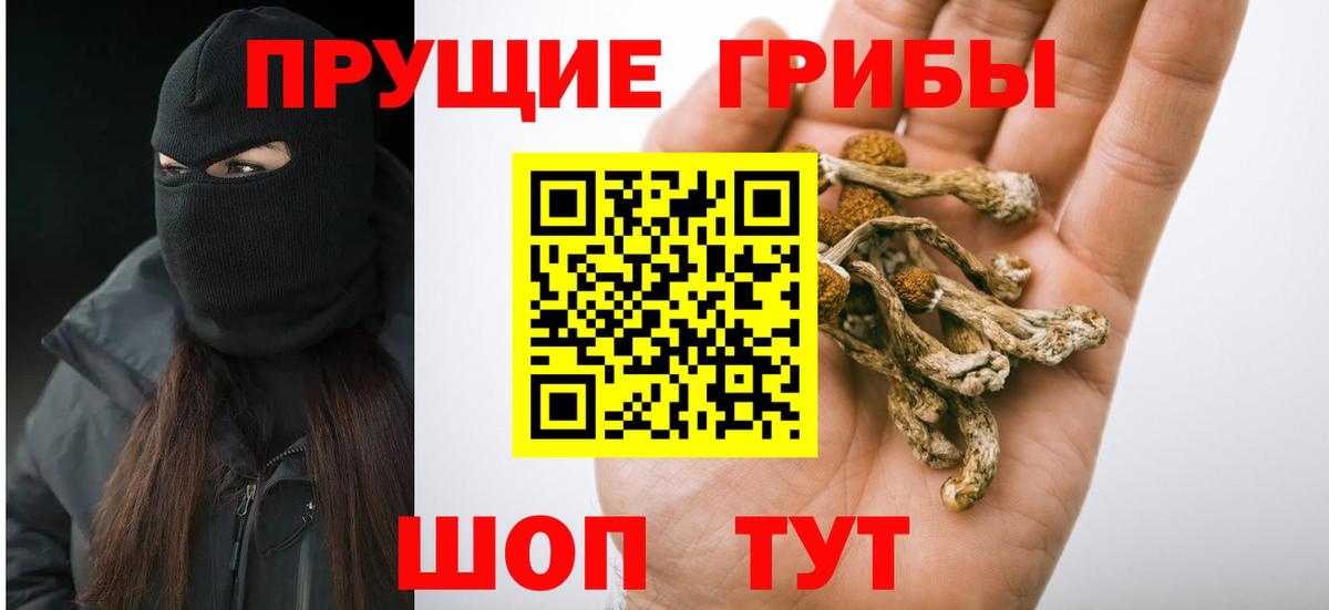 Галлюциногенные грибы GOLDEN TEACHER  Галлюциногенные грибы Psilocybe  Вход с VPN  Кисловодск 
